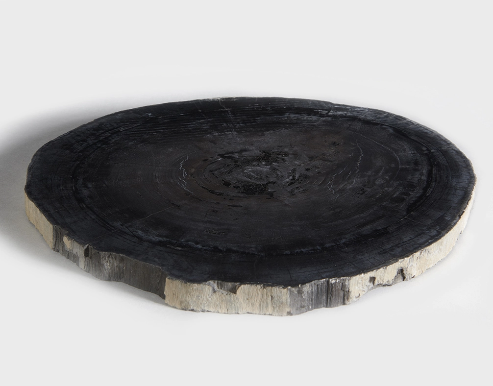 столешница для кофейного столика  из окаменелого дерева 43х39х3