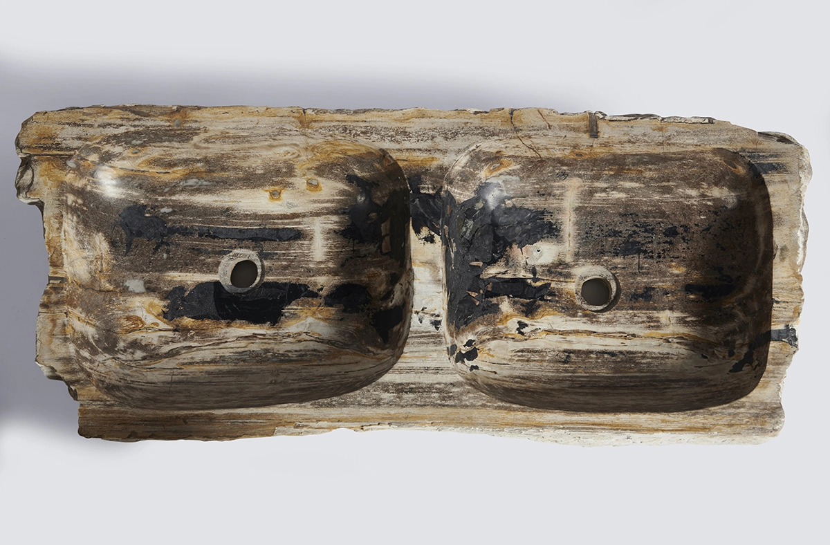 Раковина двойная  из окаменелого дерева 110х45х16