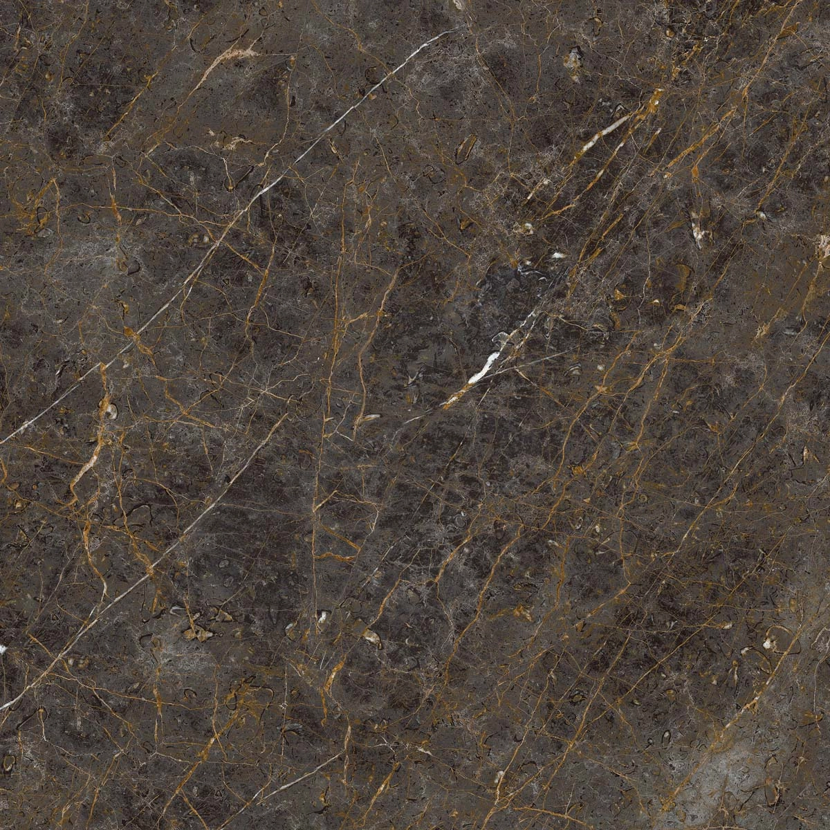 AE GOL6 120 LP 120x120