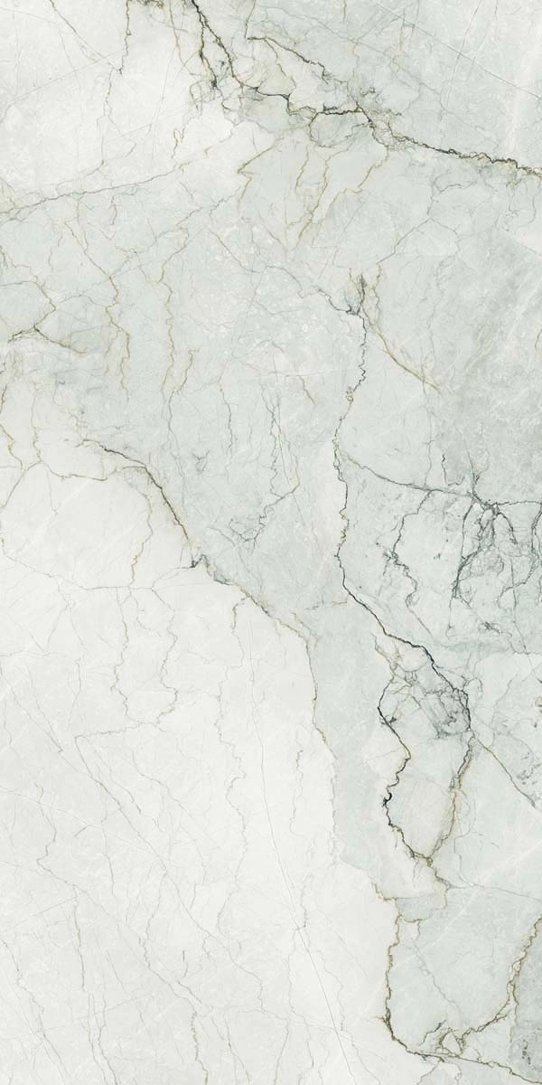 AE CAM6 12 LP 60x120