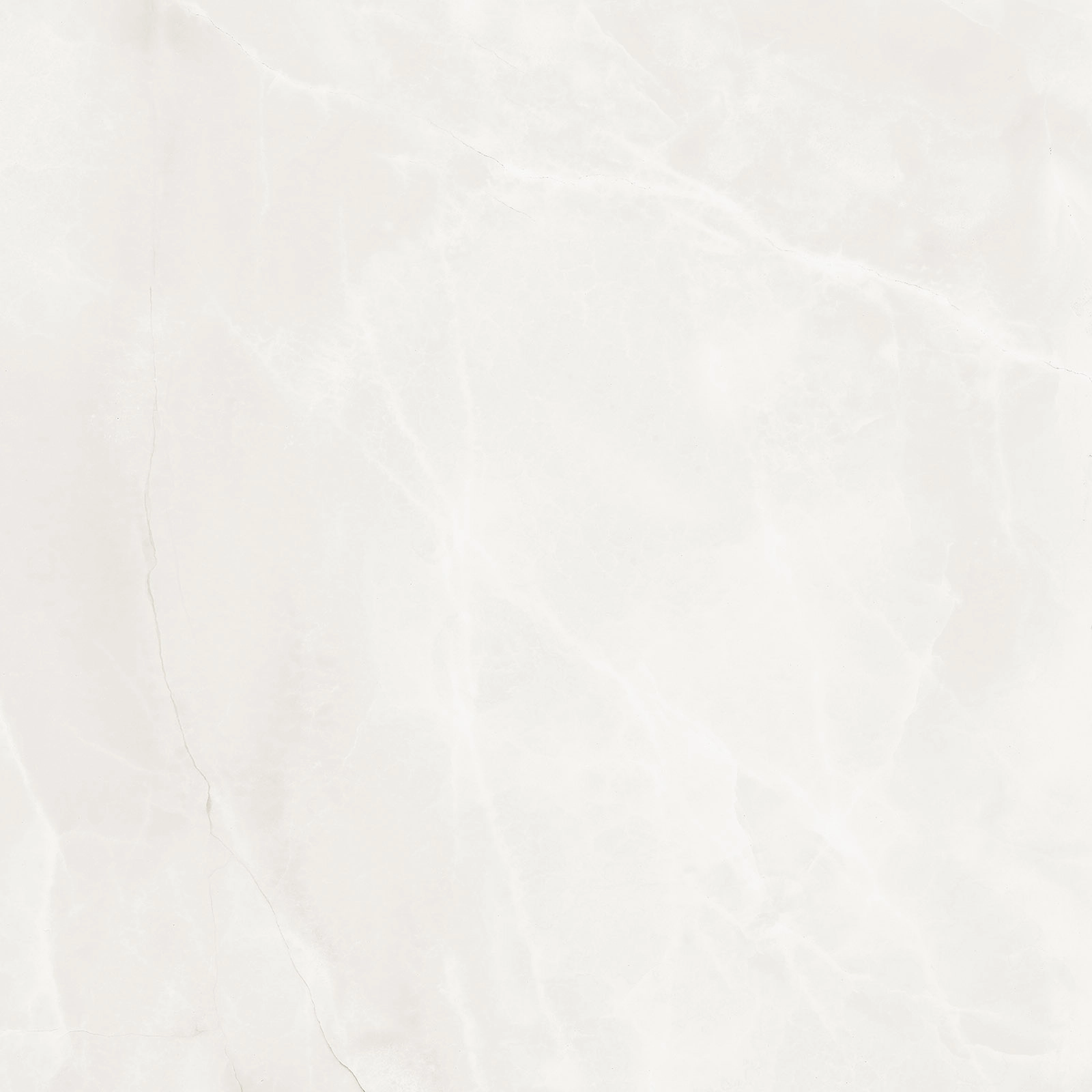 ABS WH6 120 LP  120x120