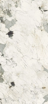 PAT WH6 278 LP 120x278