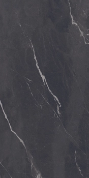 MON BL6 12 LP 60x120 Черный