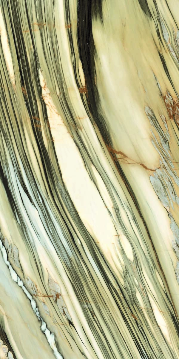 CAL OY6 12 LP 60x120