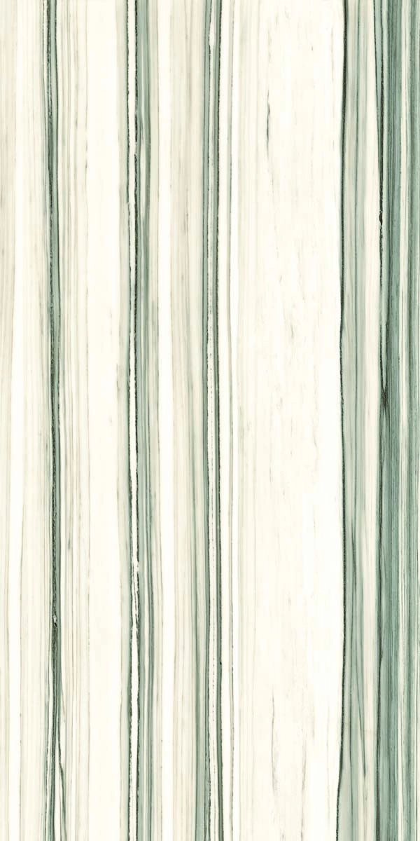 AE ZEB6 12 LP 60x120