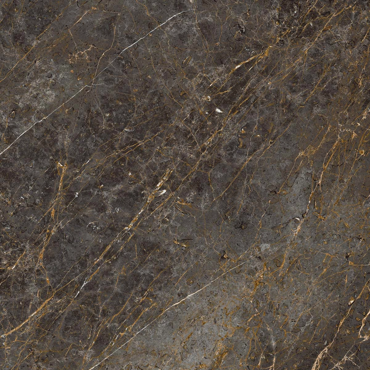 AE GOL6 120 LP 120x120