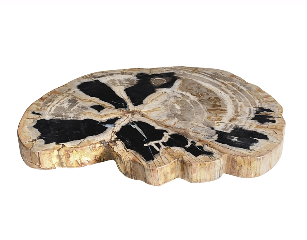 столешница для журнального столика  из окаменелого дерева 60x47x5