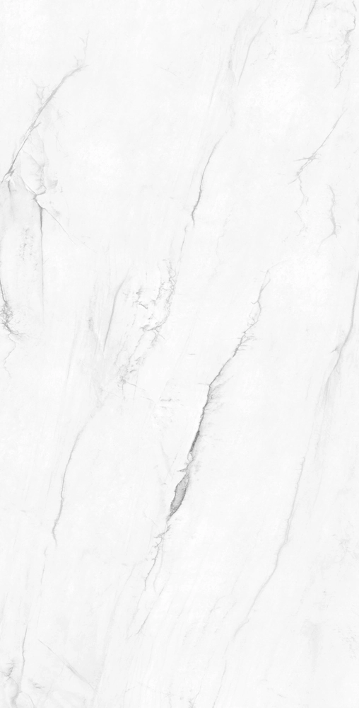 VICTORIA POLISHED 120x240