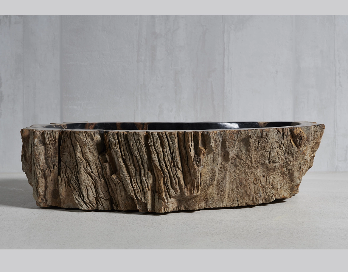 Раковина из окаменелого дерева 60х31х15
