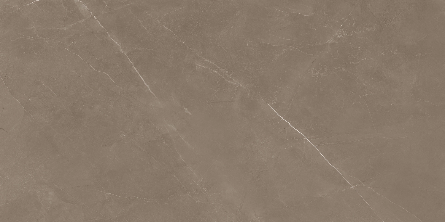 PIETRA ACTIVE GRAY 60X120