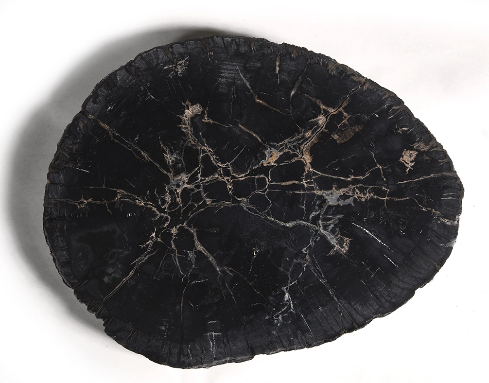 столешница для журнального столика  из окаменелого дерева 67х54х5