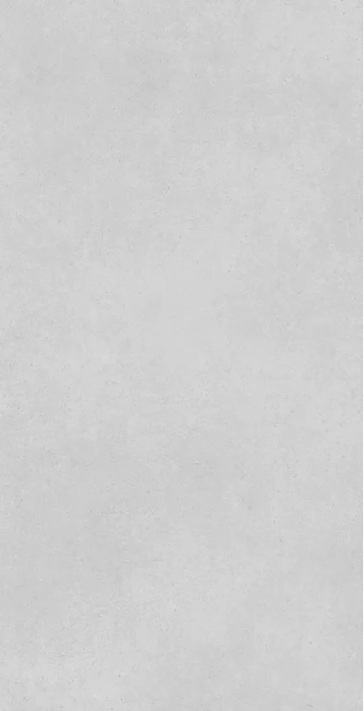 Concrete Expose Light Grey 8144 60x120