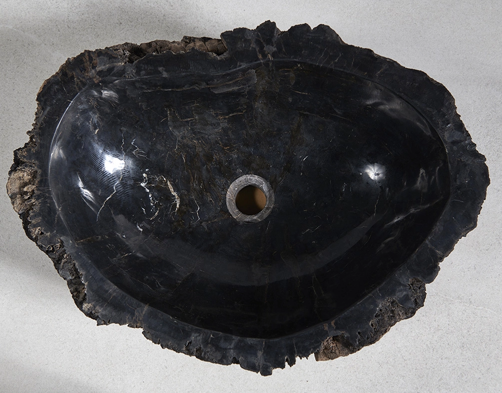 Раковина из окаменелого дерева 59x43x15