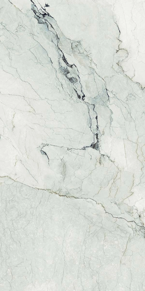 AE CAM6 12 LP 60x120