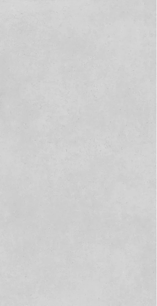 Concrete Expose Light Grey 8144 60x120