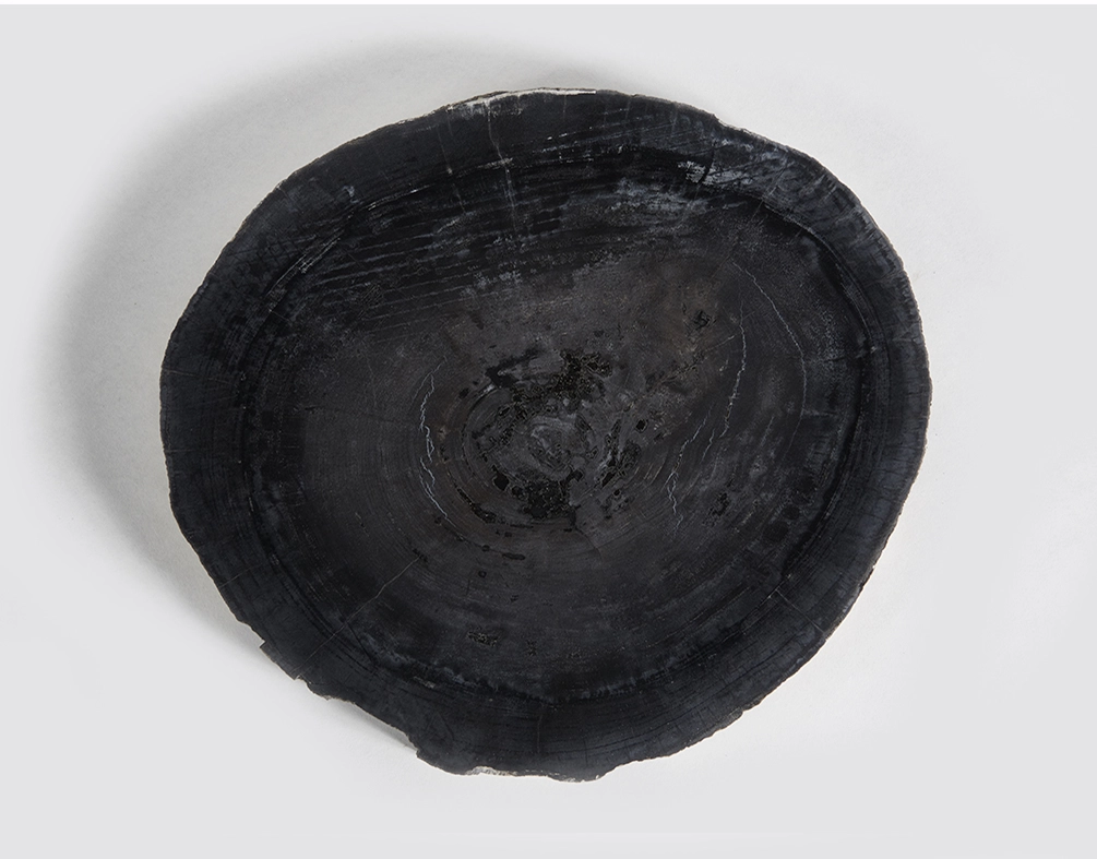 столешница для кофейного столика  из окаменелого дерева 43х39х3