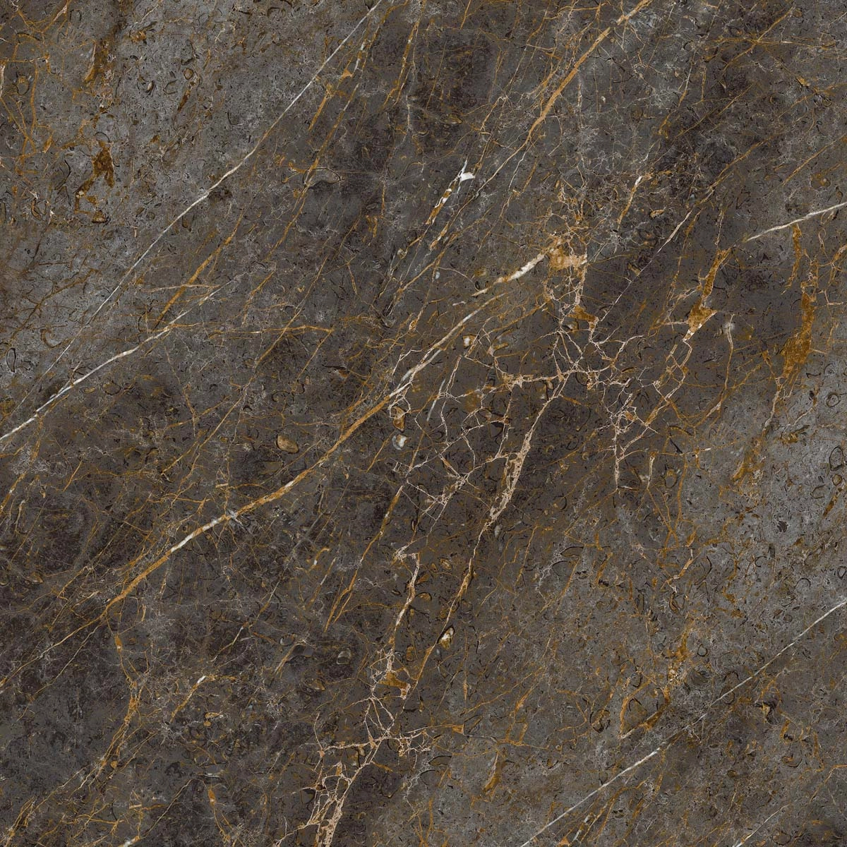 AE GOL6 120 LP 120x120