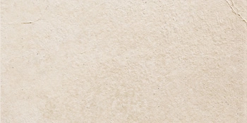 WORD UP AL 12R 60x120