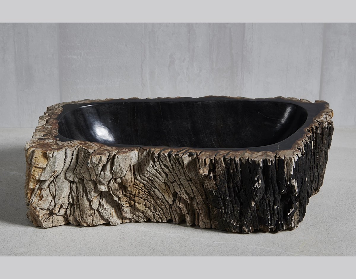 Раковина из окаменелого дерева 58х33х15