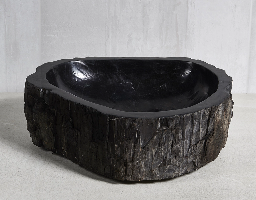 Раковина из окаменелого дерева 49х42х15