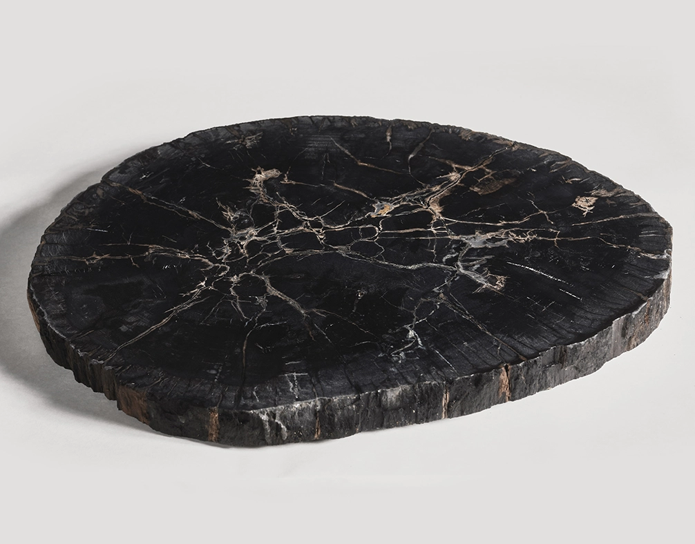 столешница для журнального столика  из окаменелого дерева 67х54х5