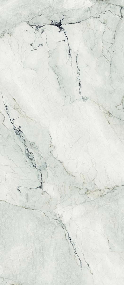 AE CAM6 278 LP 120x278