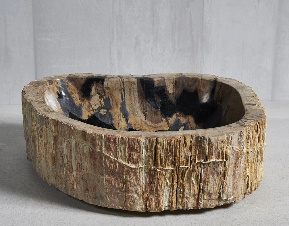 Раковина из окаменелого дерева 50х38х15