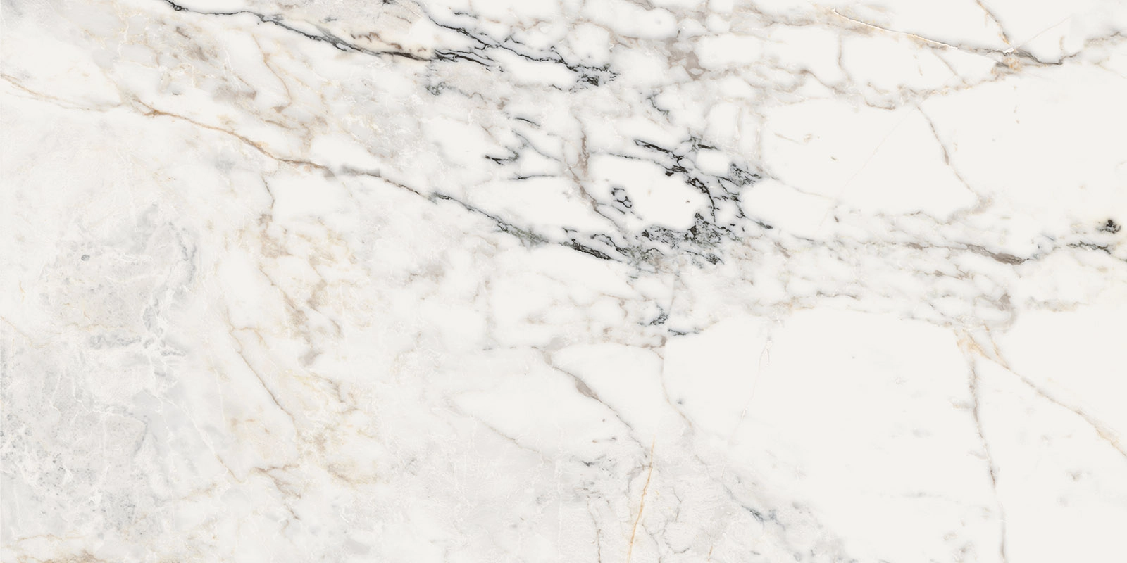 AE PAO6 12 LP 60х120