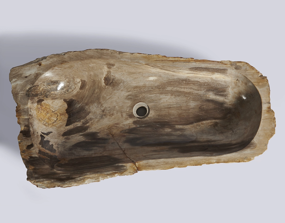 Раковина из окаменелого дерева 93х48х15