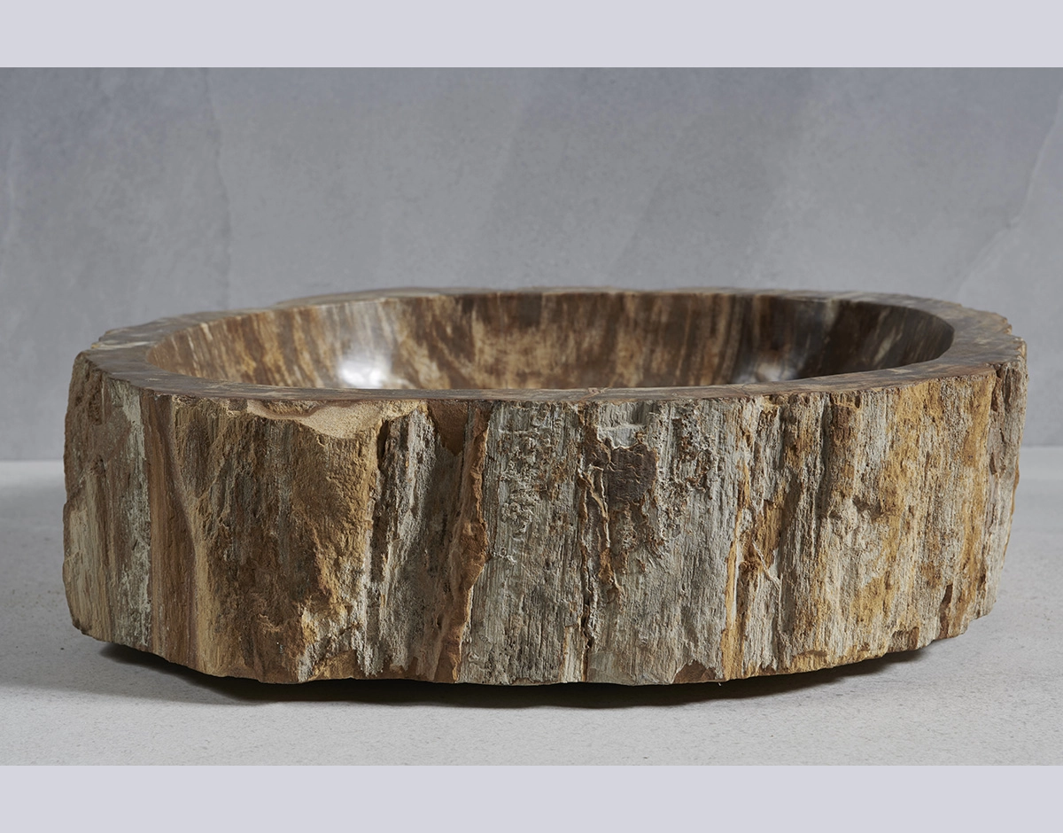 Раковина из окаменелого дерева 60х54х14