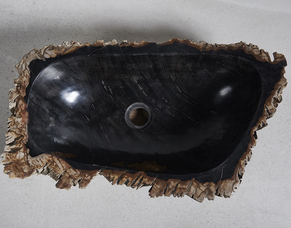 Раковина из окаменелого дерева 58х33х15