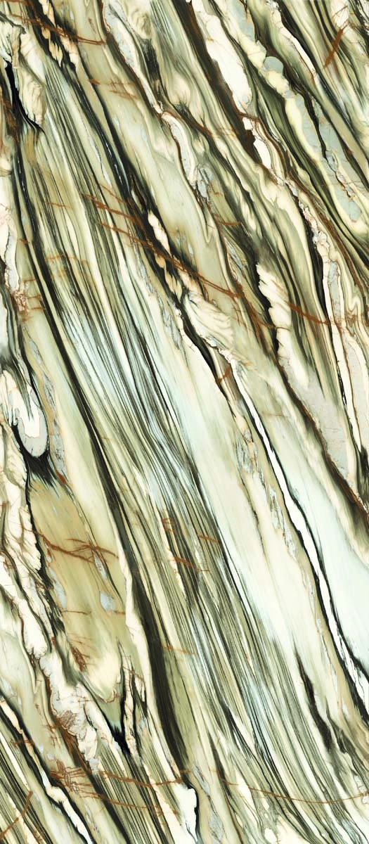 CAL OY6 278 LP 120x278