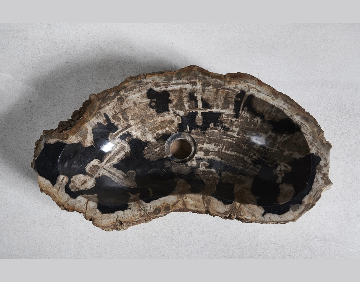 Раковина из окаменелого дерева 55х30х15