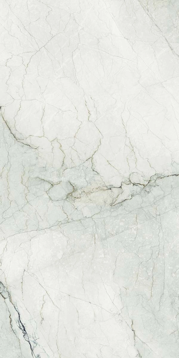 AE CAM6 12 LP 60x120