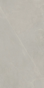 A.RCK 12AG RM 60x120 Серебристый