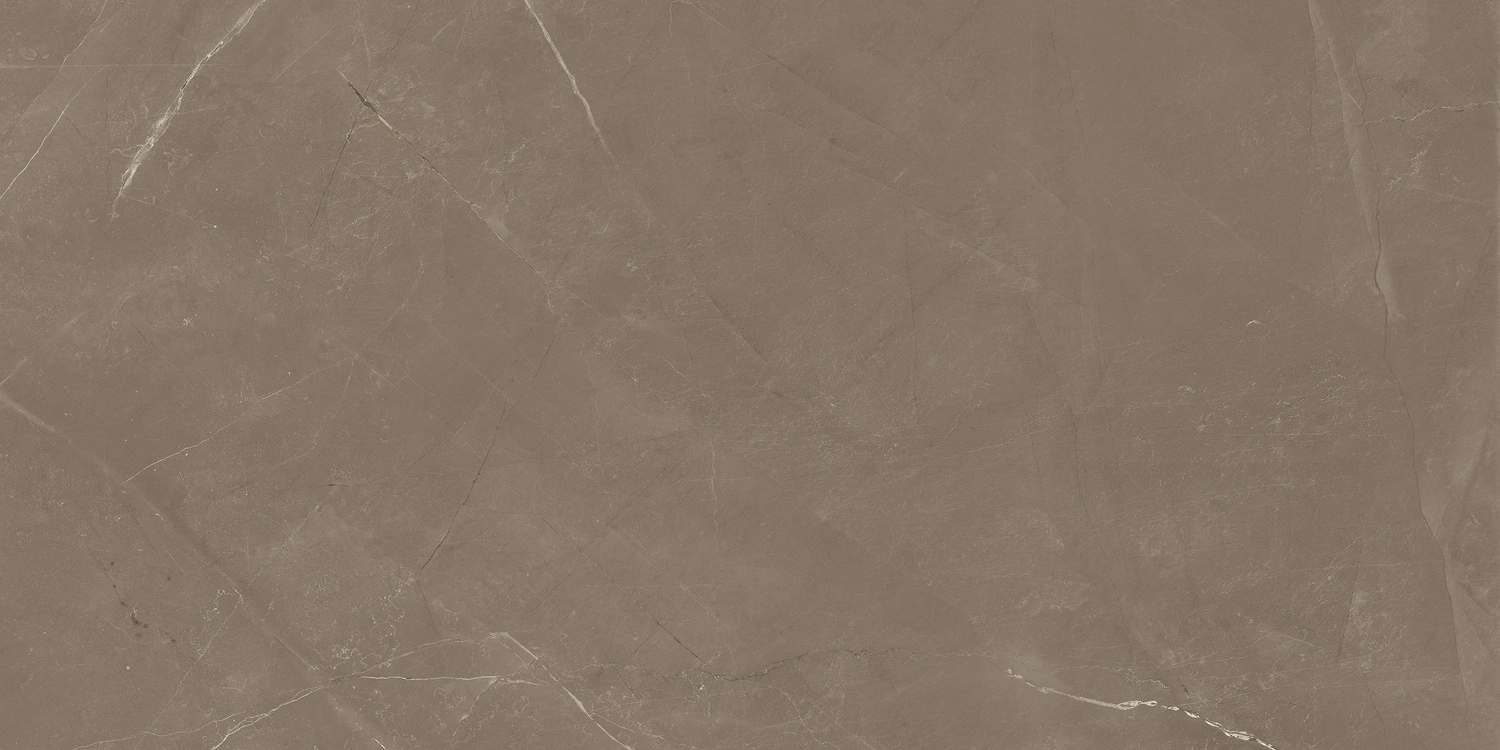 PIETRA ACTIVE GRAY 60X120