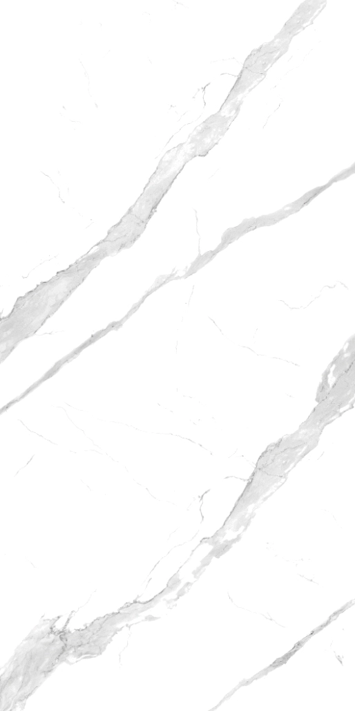 67400 Statuario 120x240