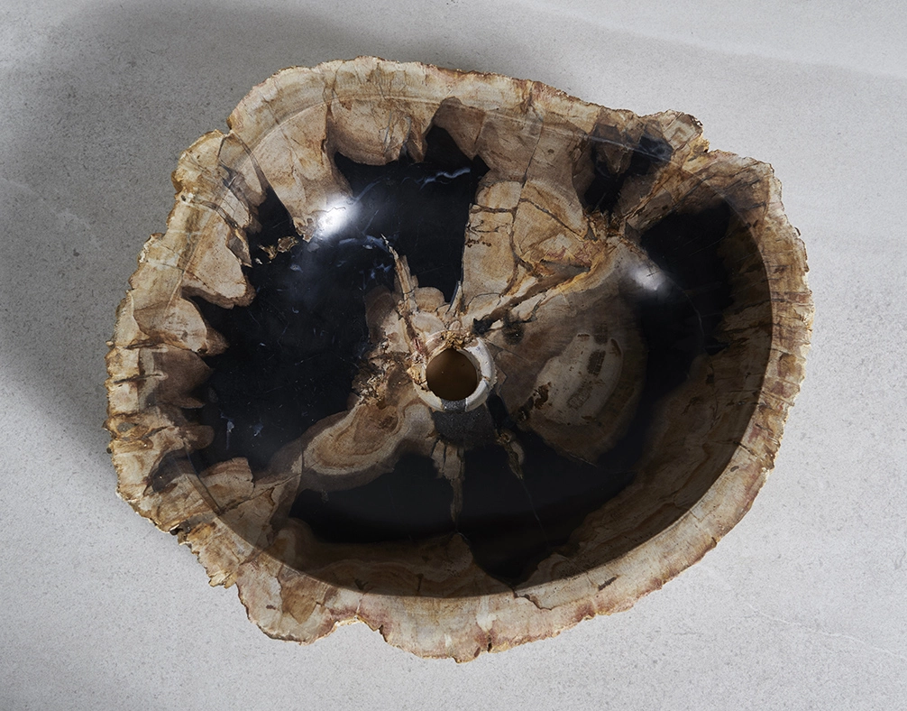 Раковина из окаменелого дерева 51х42х15