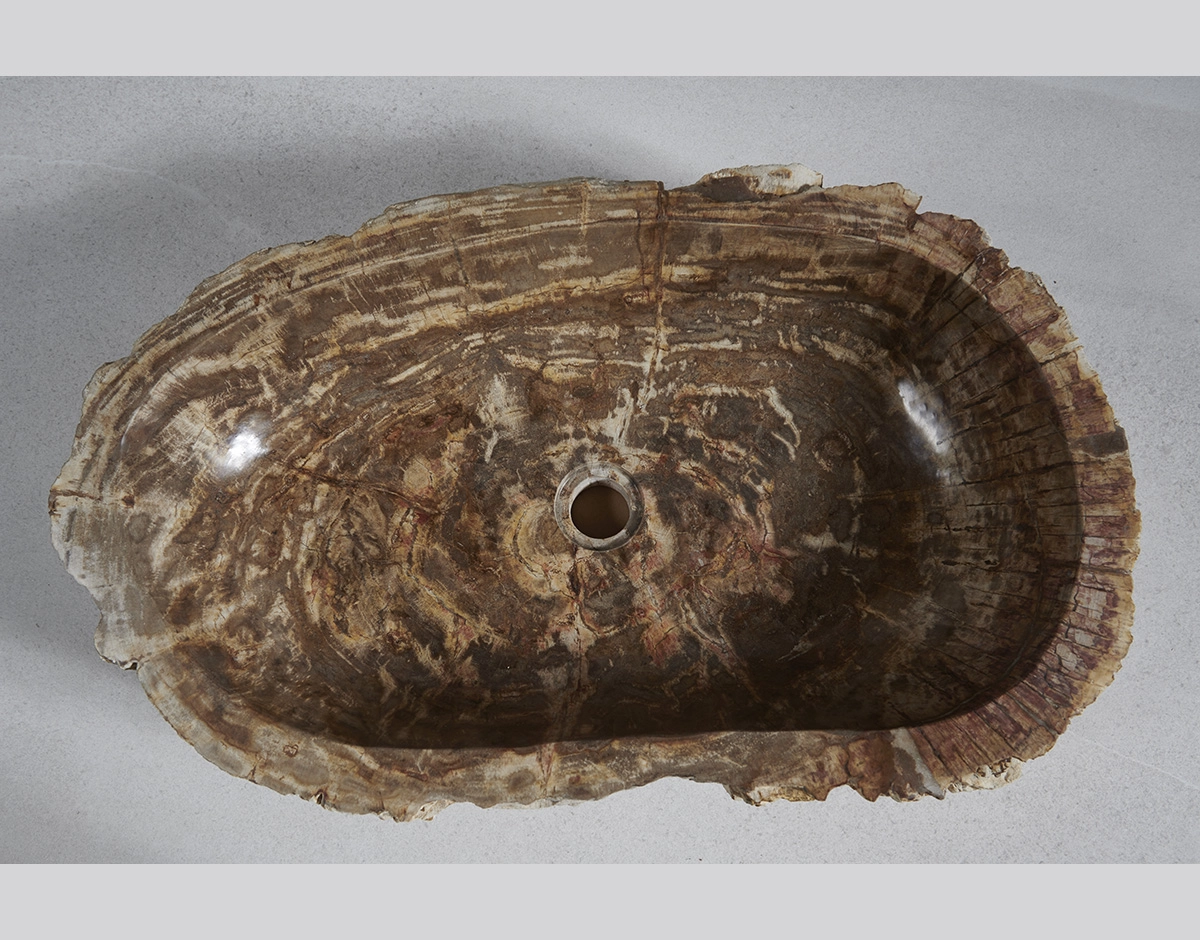 Раковина из окаменелого дерева 68x42x15