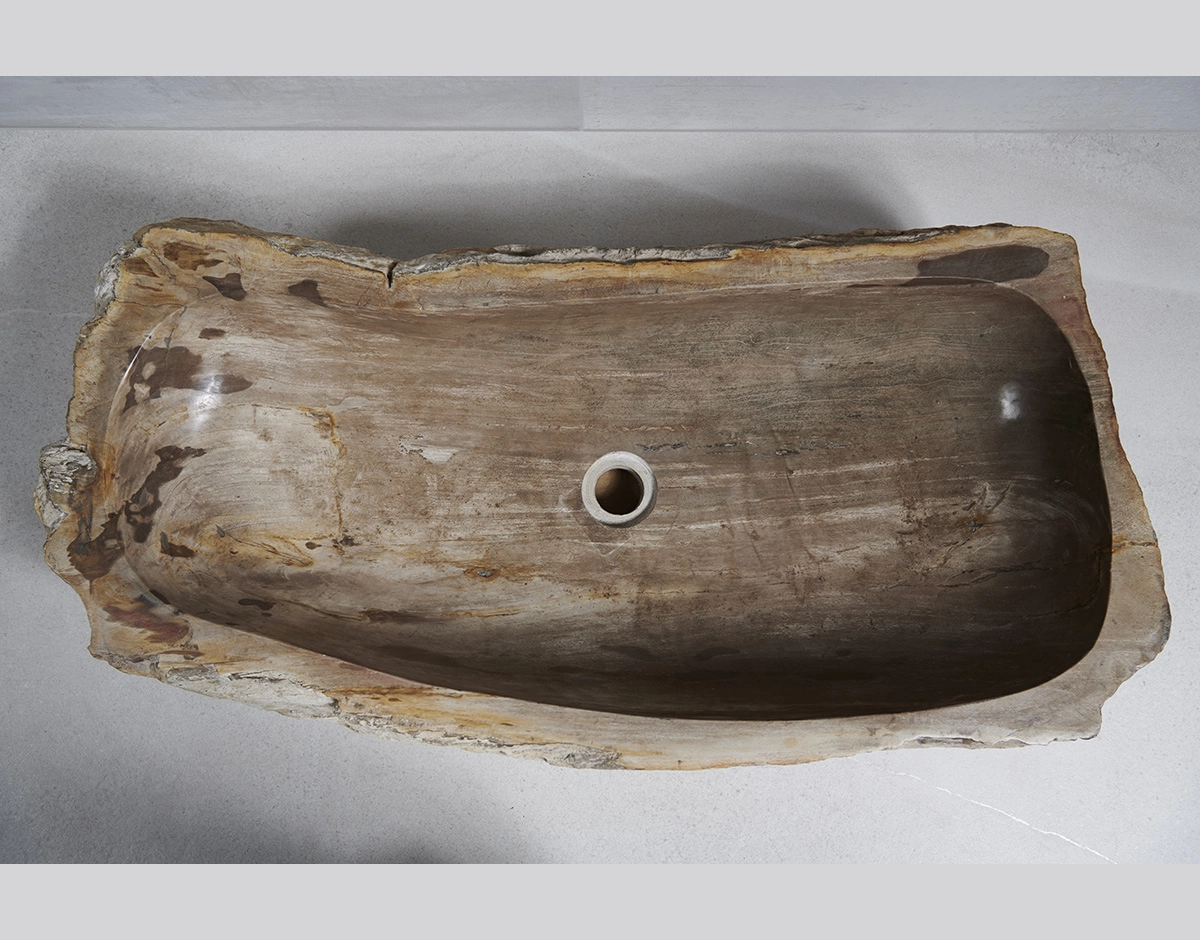 Раковина из окаменелого дерева 87х47х16
