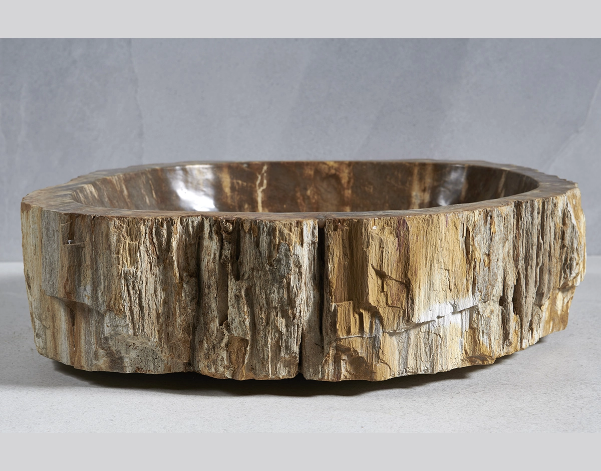 Раковина из окаменелого дерева 59х50х15