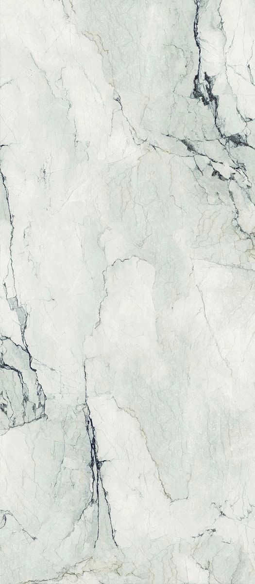 AE CAM6 278 LP 120x278