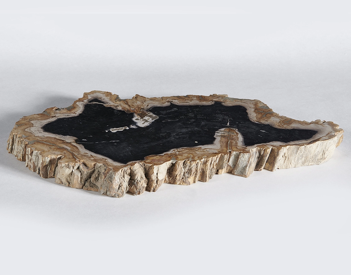 столешница для кофейного столика  из окаменелого дерева 55х31х4