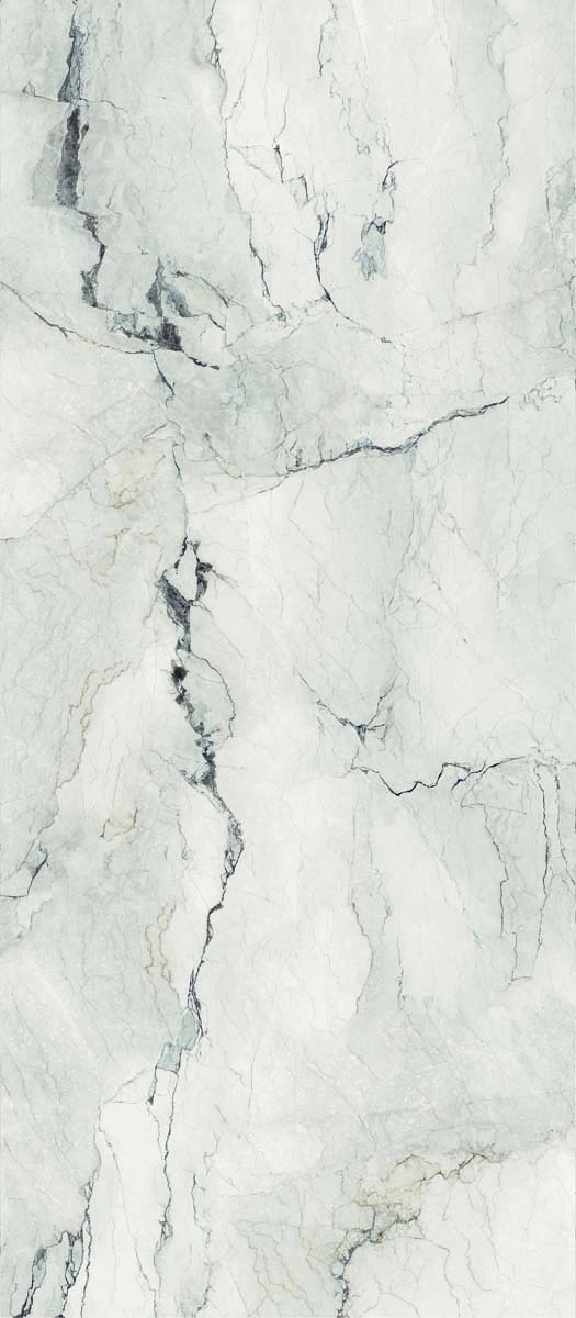 AE CAM6 278 LP 120x278