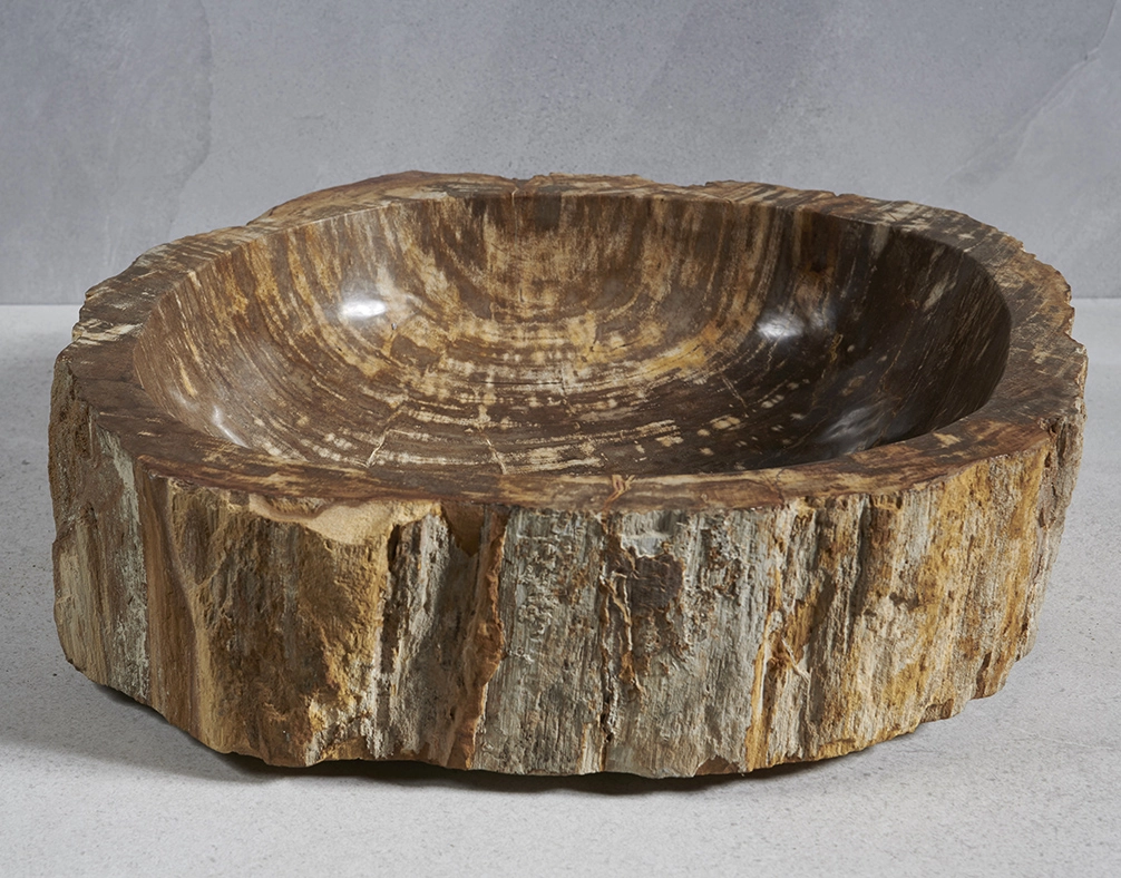 Раковина из окаменелого дерева 60х54х14