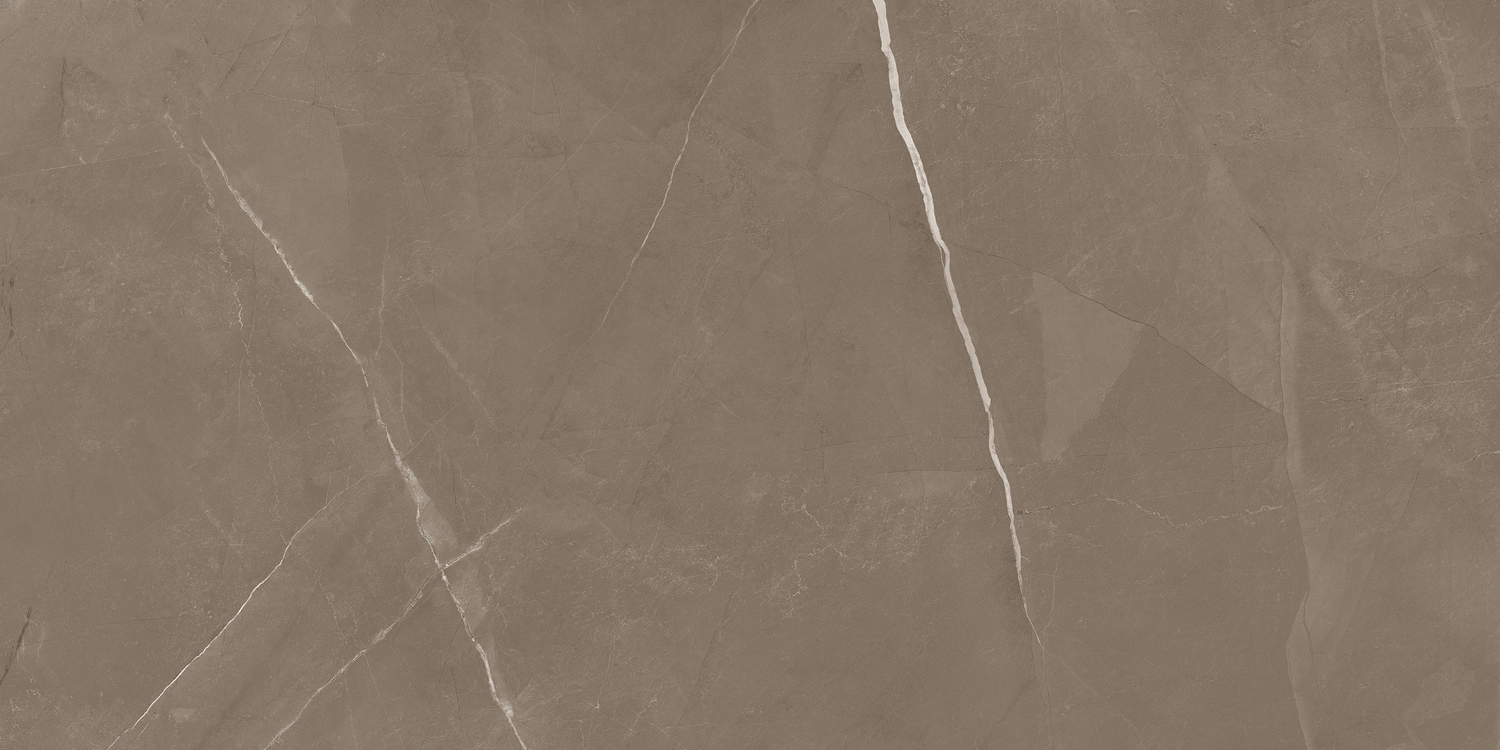 PIETRA ACTIVE GRAY 60X120