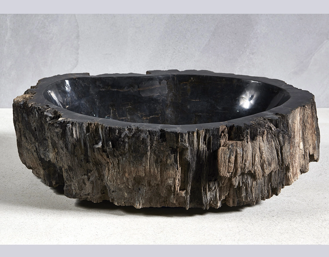 Раковина из окаменелого дерева 59x43x15