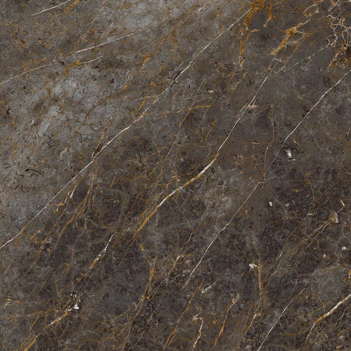 AE GOL6 120 RM 120x120