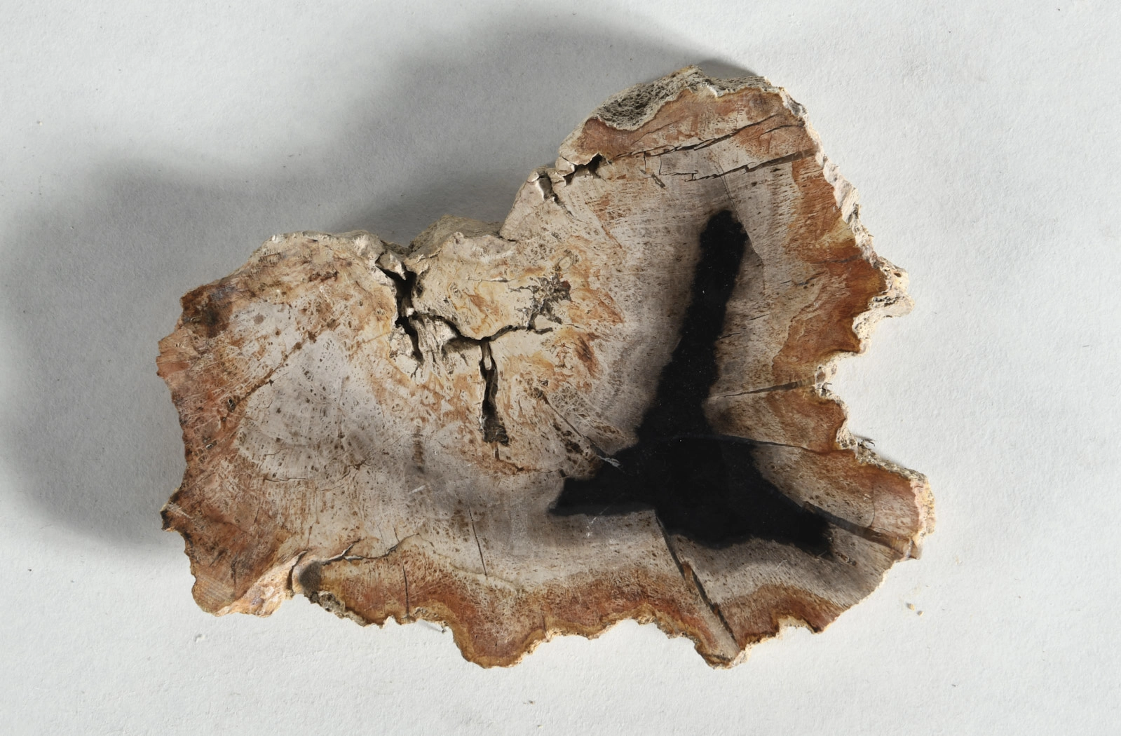 Декоративное блюдо 3P1RNS-49 14х11х1,5