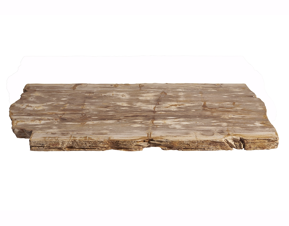 столешница для журнального столика  из окаменелого дерева 110х53х6